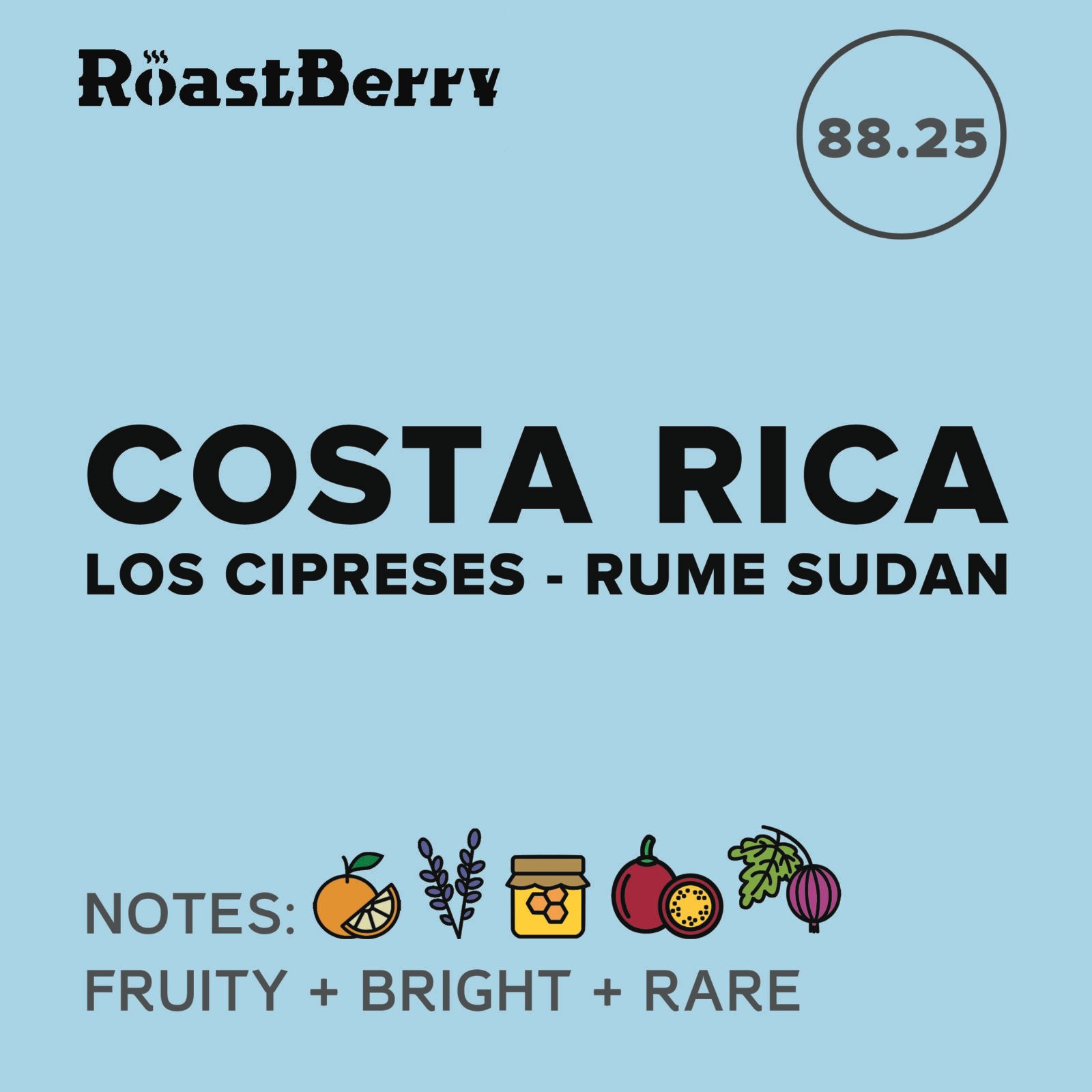 Costa Rica Los Cipreses Rume Sudan Filter 250 g