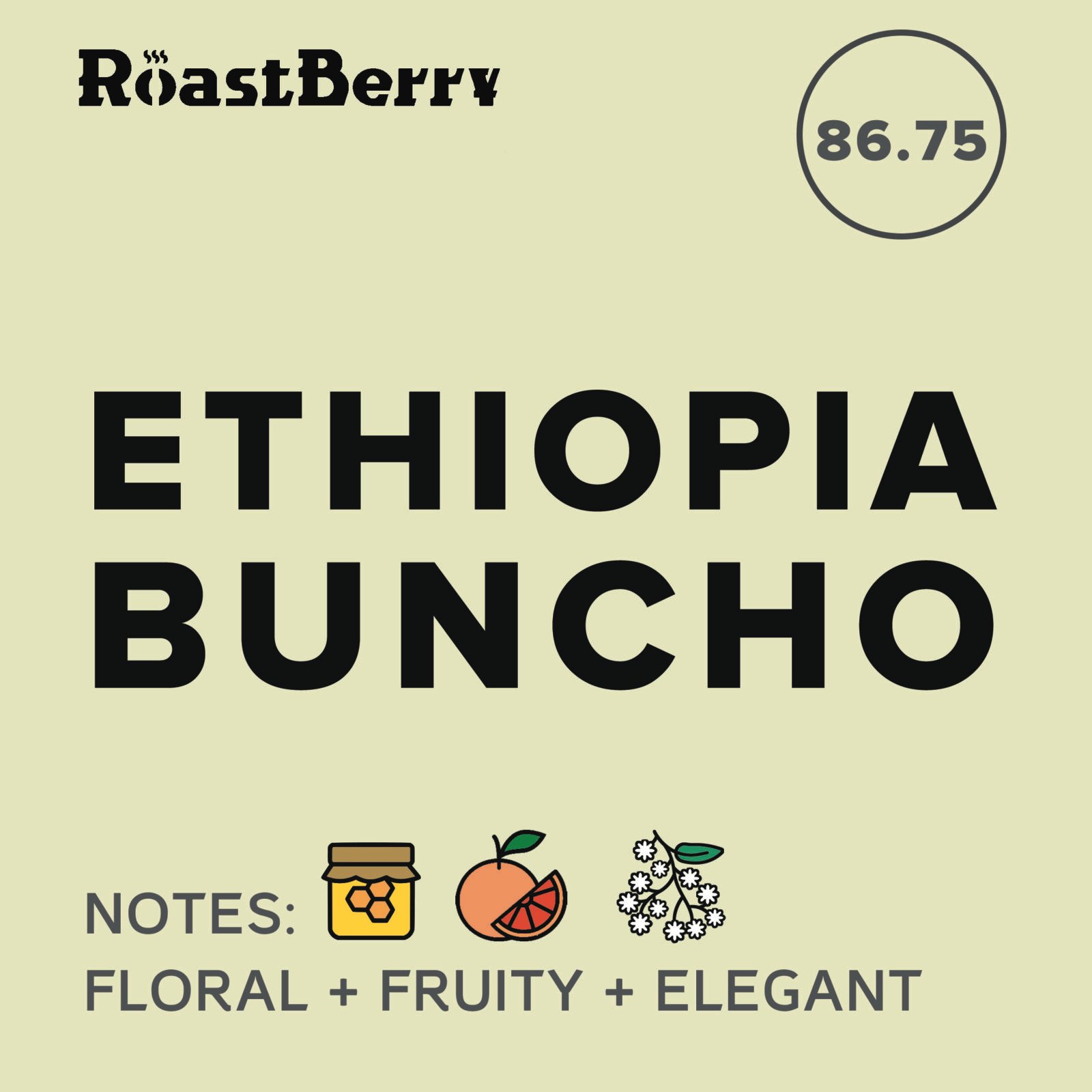 Ethiopia Buncho Filter 250 g