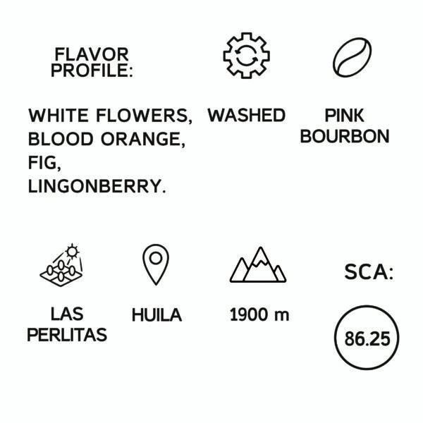 Colombia Las Perlitas Pink Bourbon Filter 1KG - Image 2