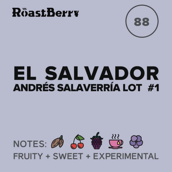 El Salvador Andrés Salaverria Lot #1 Filter 250G