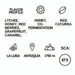 Colombia La Luisa Lychee Filter 1KG - Image 2