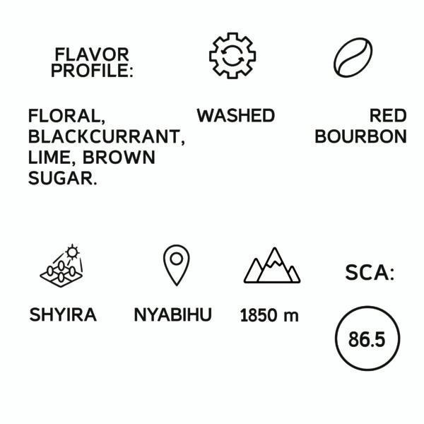 Rwanda Shyira Filter 1KG - Image 2