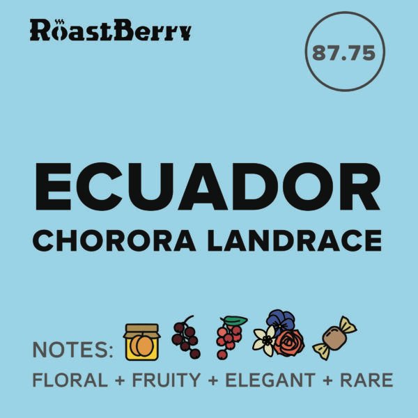 Ecuador Chorora Landrace Filter 250G