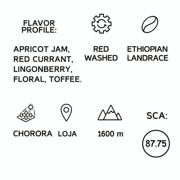 Ecuador Chorora Landrace Filter 250G - Image 2