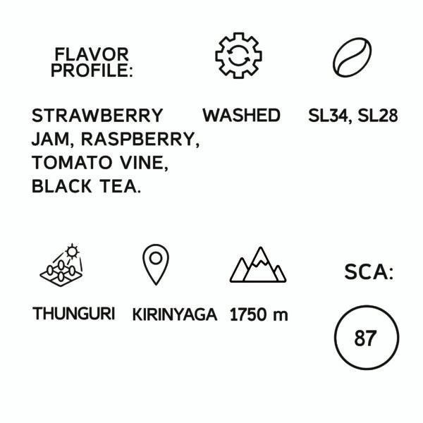 Kenya Thunguri AA Filter 250G - Image 2