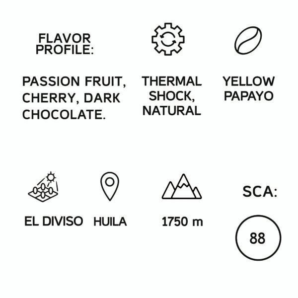 Colombia Nestor Lasso Papayo Filter 1KG - Image 2
