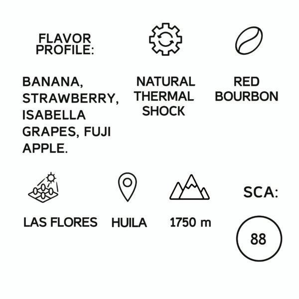 Colombia Johan Vergara Red Bourbon Filter 1KG - Image 2