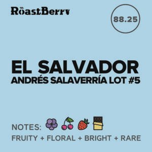El Salvador Andrés Salaverria Lot #5 Filter 1KG
