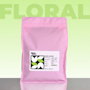 Kenya Gatugi Filter 1KG