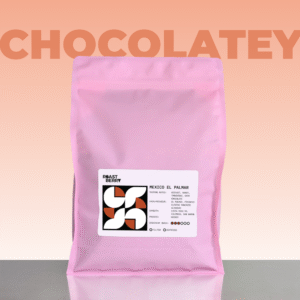 Mexico El Palmar Espresso 1KG